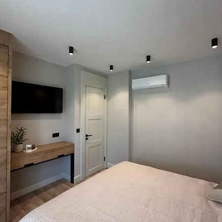 Vip Anvers 50 אלניטה