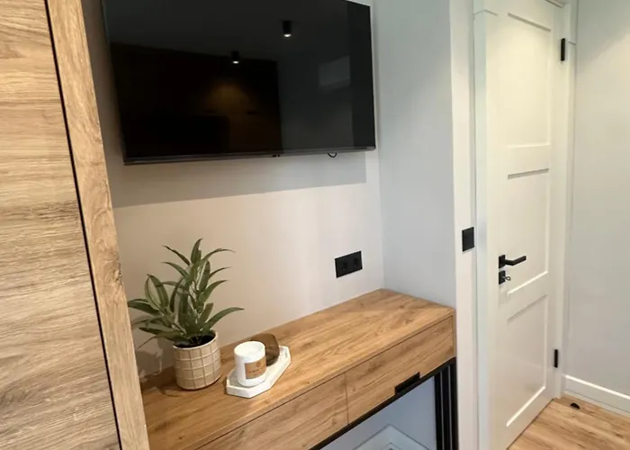 Vip Anvers 50 Елените