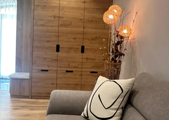 Vip Anvers 50 Елените