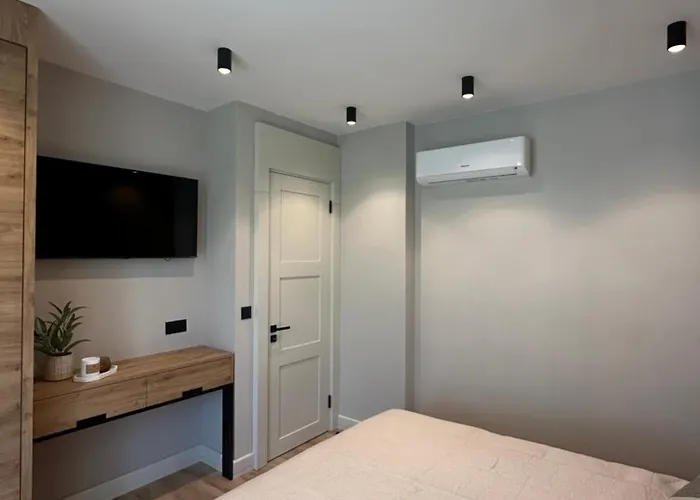 Vip Anvers 50 Елените